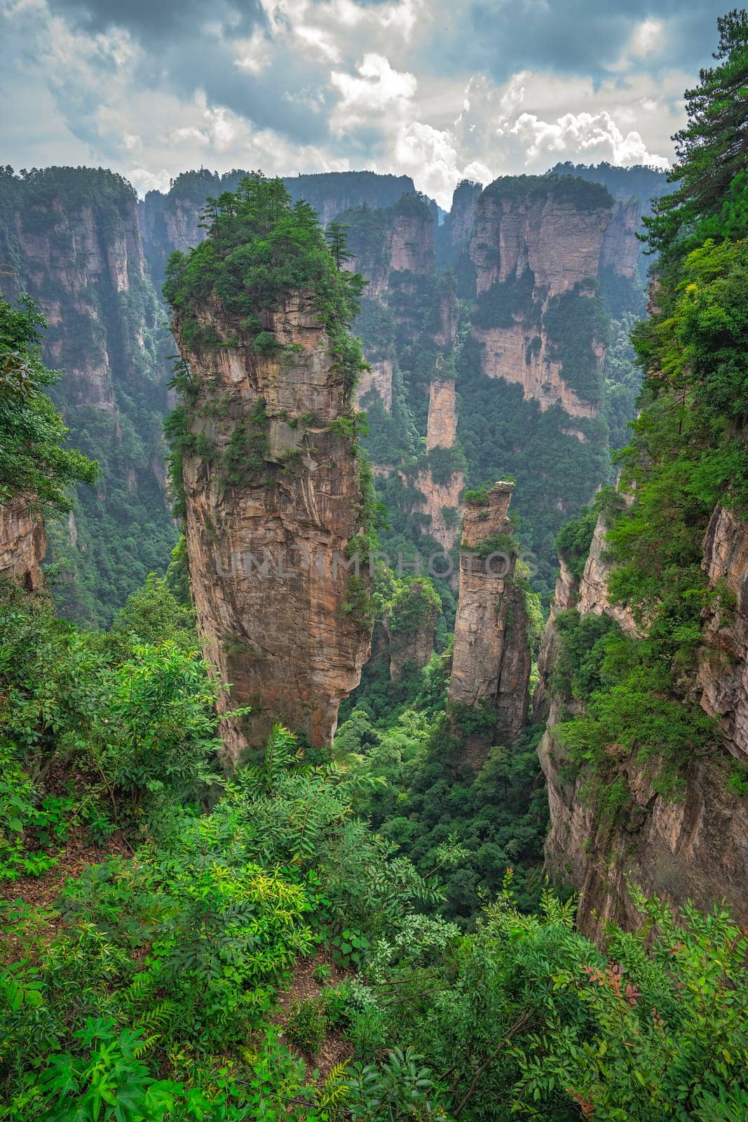 Heaven Pillar Hallelujah Mountain in Tianzi mountain range, Avatar mountains nature park, Zhangjiajie, China