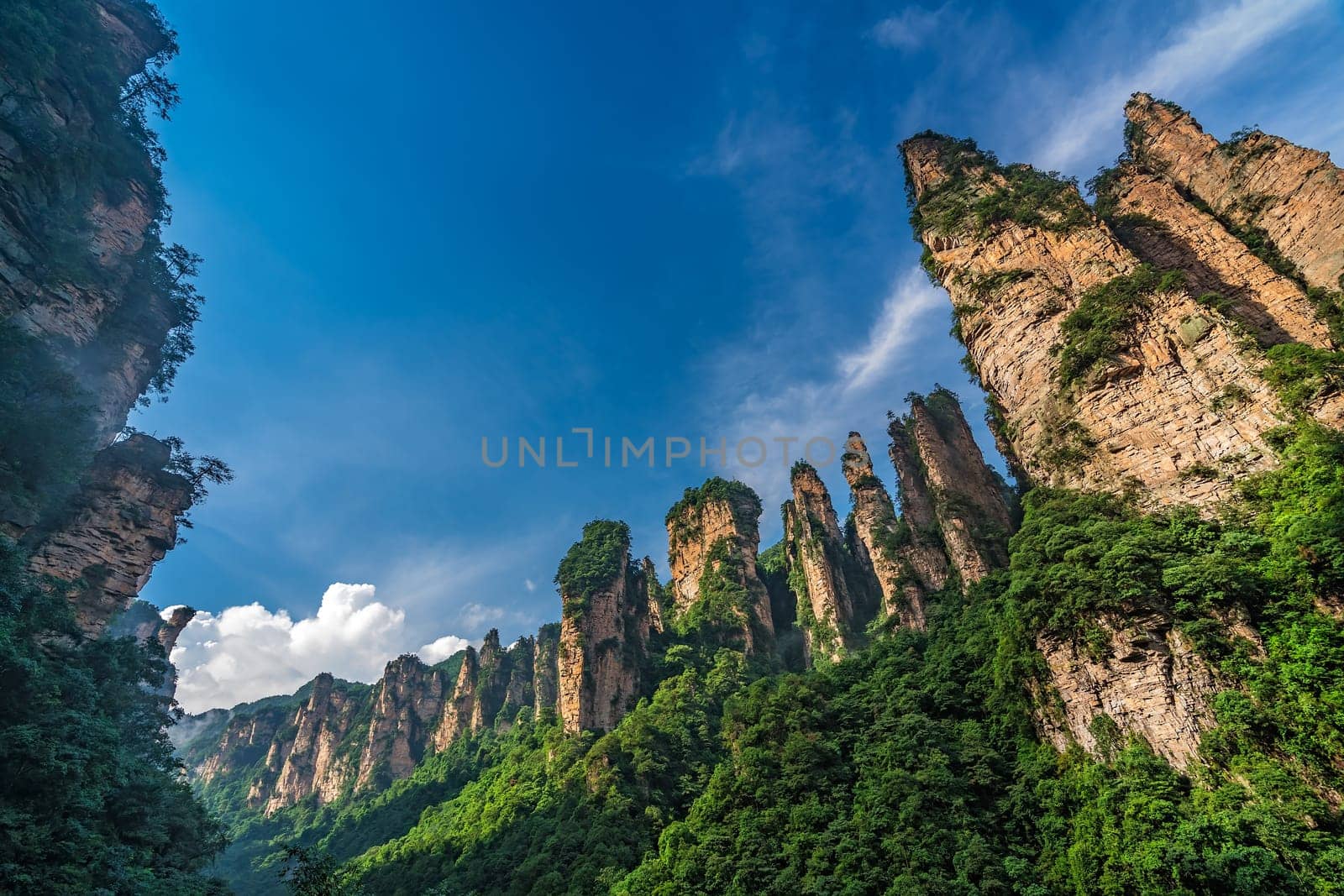 The Gathering of Heavenly Soldiers scenic rock formations, Avatar mountains nature park, Zhangjiajie, Hunan Province, China