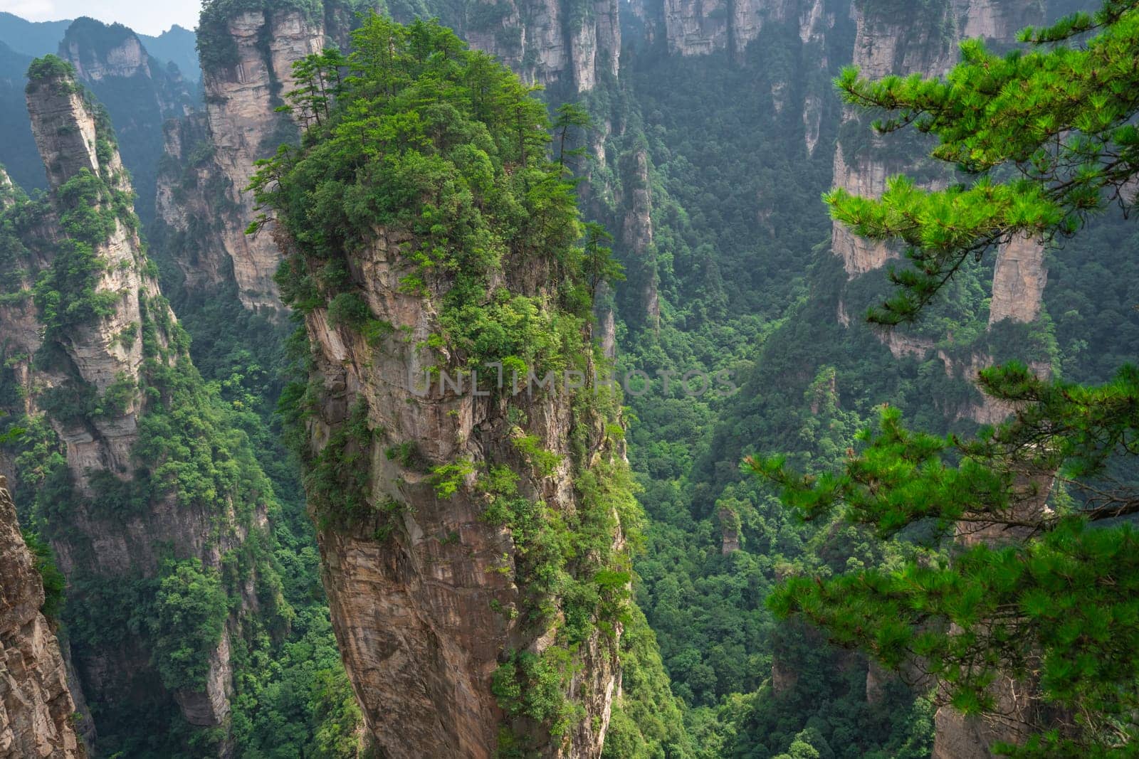 Heaven Pillar Hallelujah Mountain in Tianzi mountain range, Avatar mountains nature park, Zhangjiajie, China