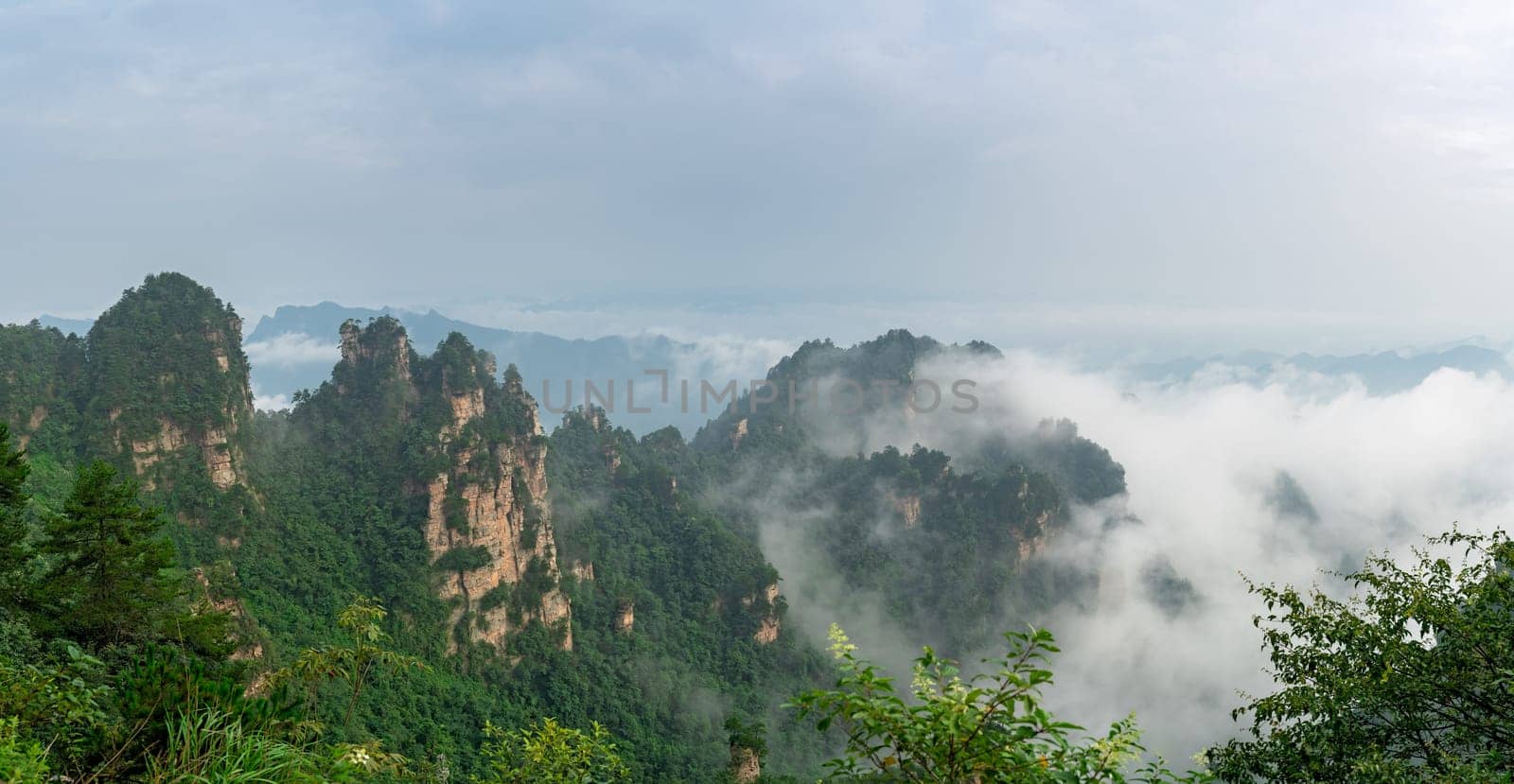 Stone pillars of Tianzi mountains in Zhangjiajie National park which is a famous tourist attraction, Wulingyuan, Hunan Province, China
