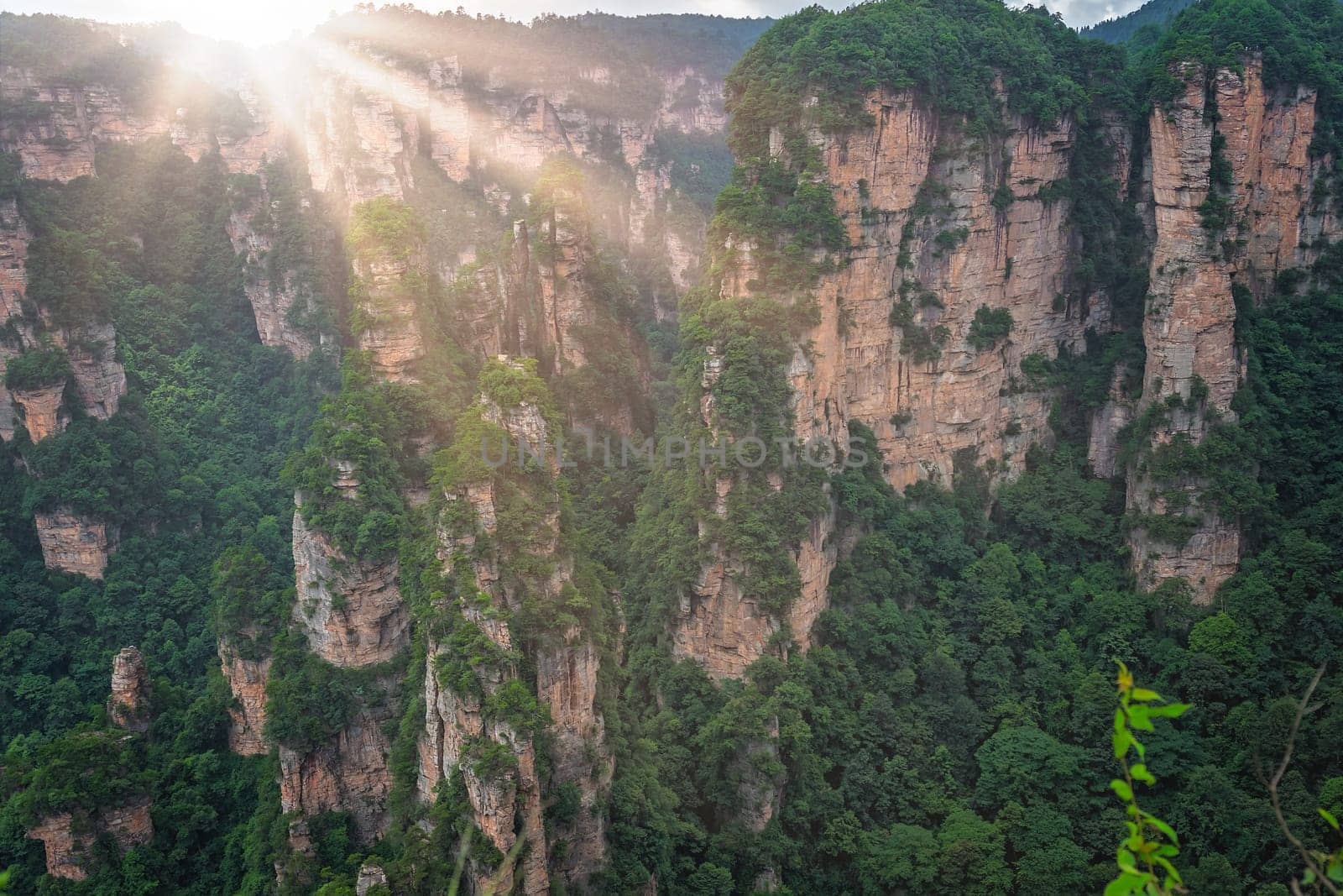 Stunning rock formations seen from the Enchanting terrace viewpoint, Avatar mountains nature park, Zhangjiajie, China