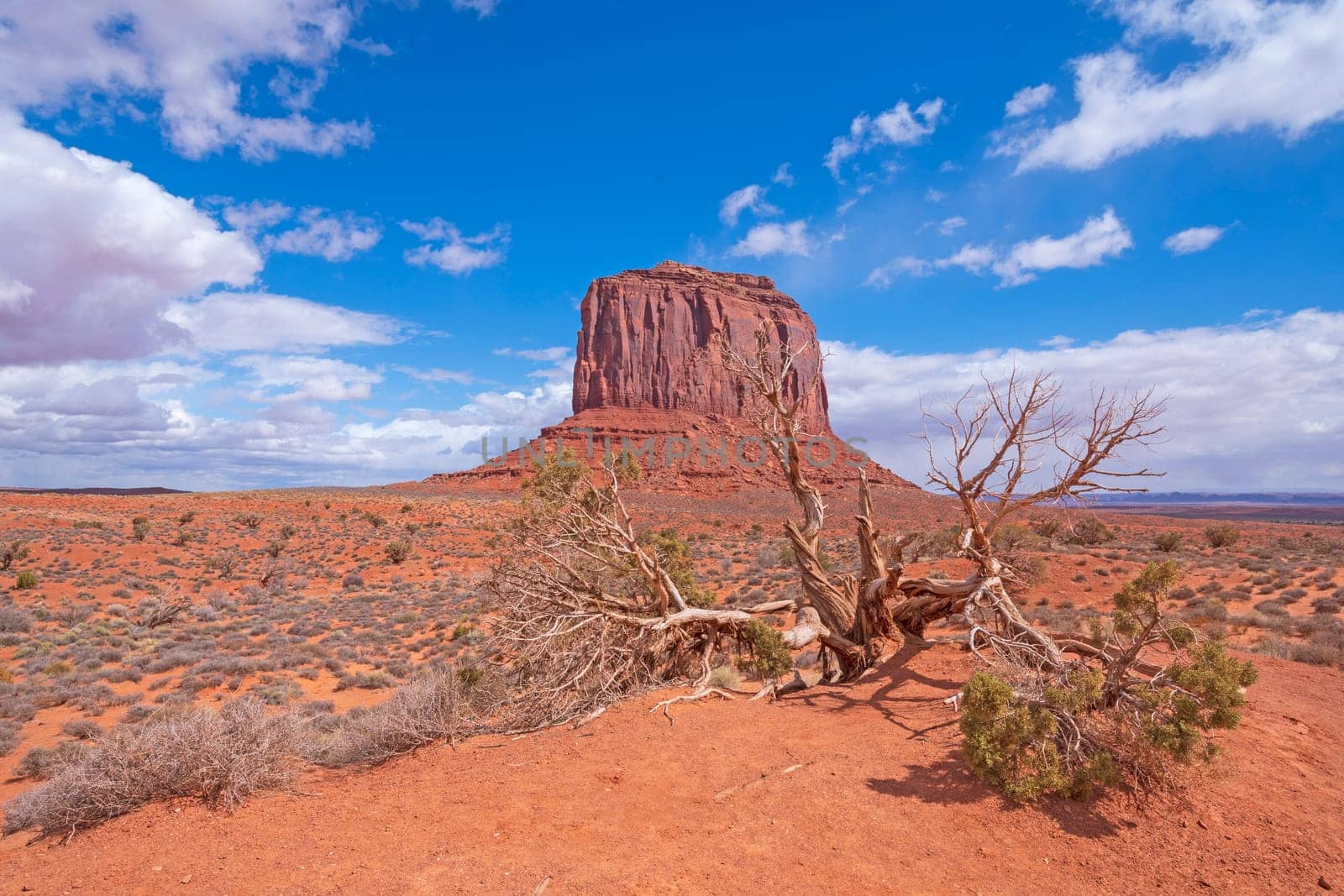 Desert Landscape on a Sunny Day in Monument Valley in Arizona