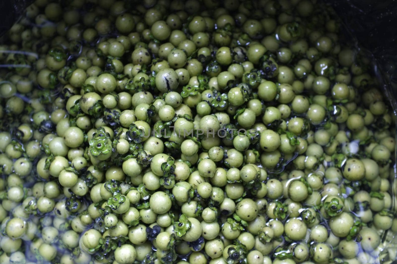 Fresh Diospyros mollis fruits Background , Thai herb and Natural dyes for fabric