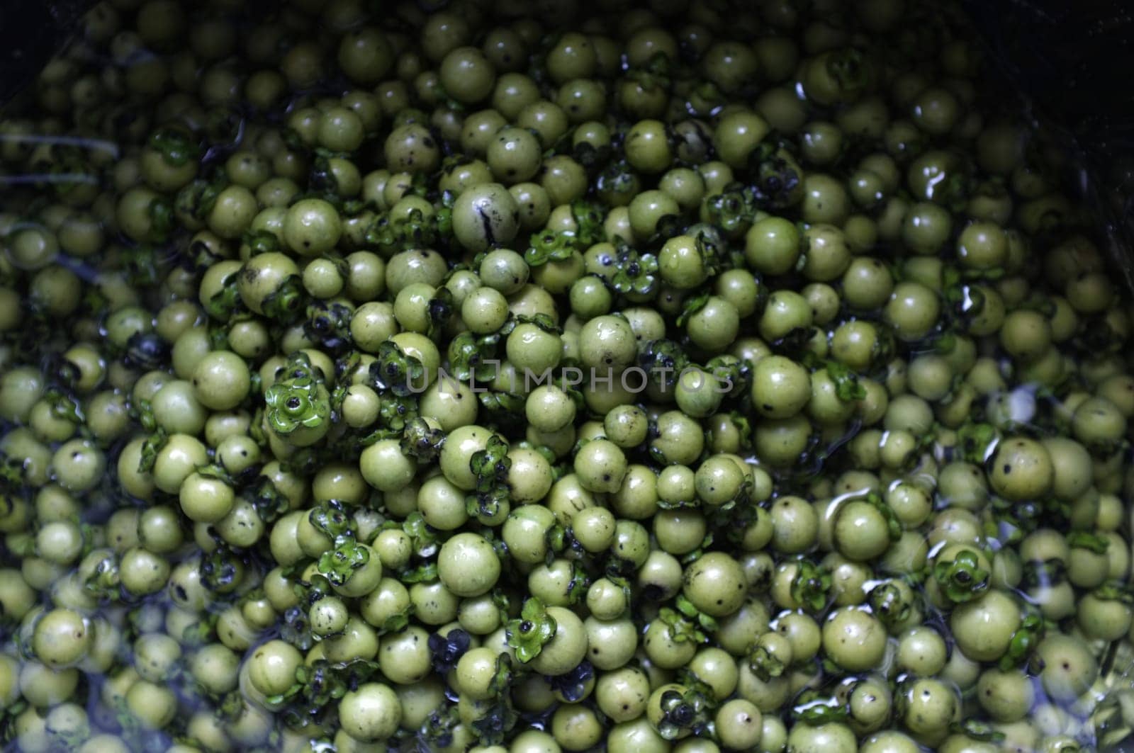 Fresh Diospyros mollis fruits Background , Thai herb and Natural dyes for fabric