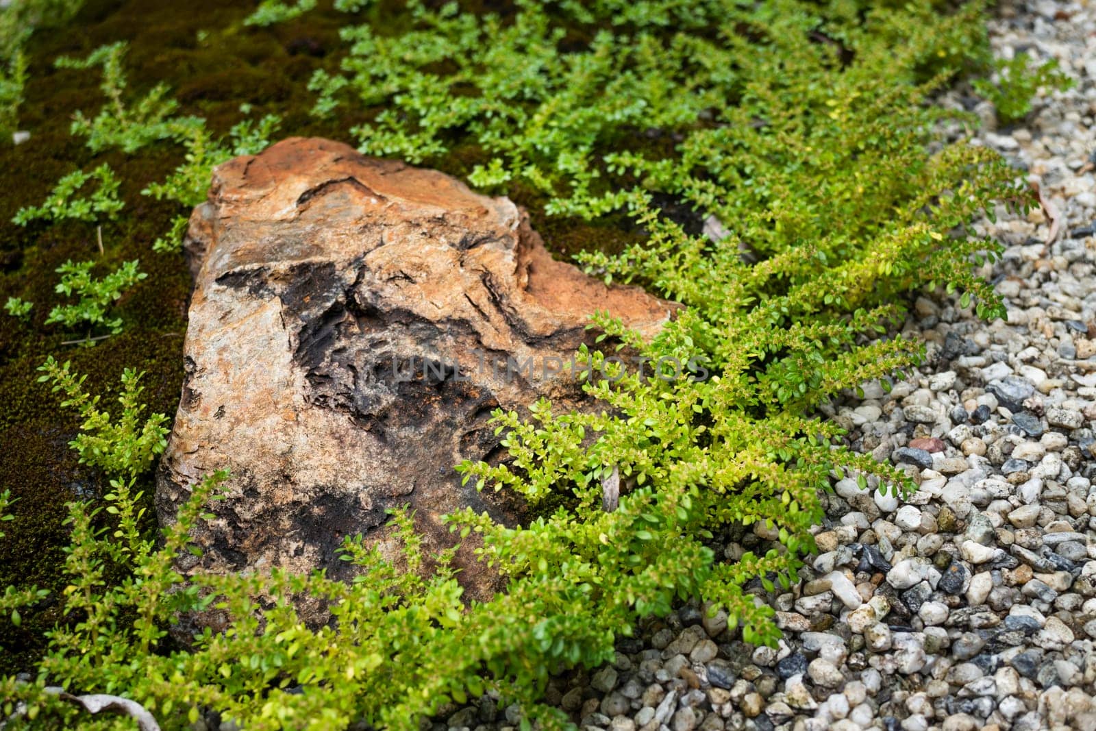 Natural stone landscaping in home garden, stock photo