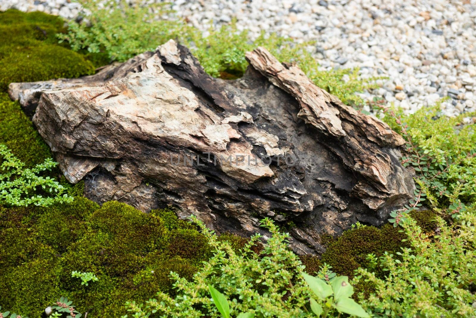 Natural stone landscaping in home garden, stock photo