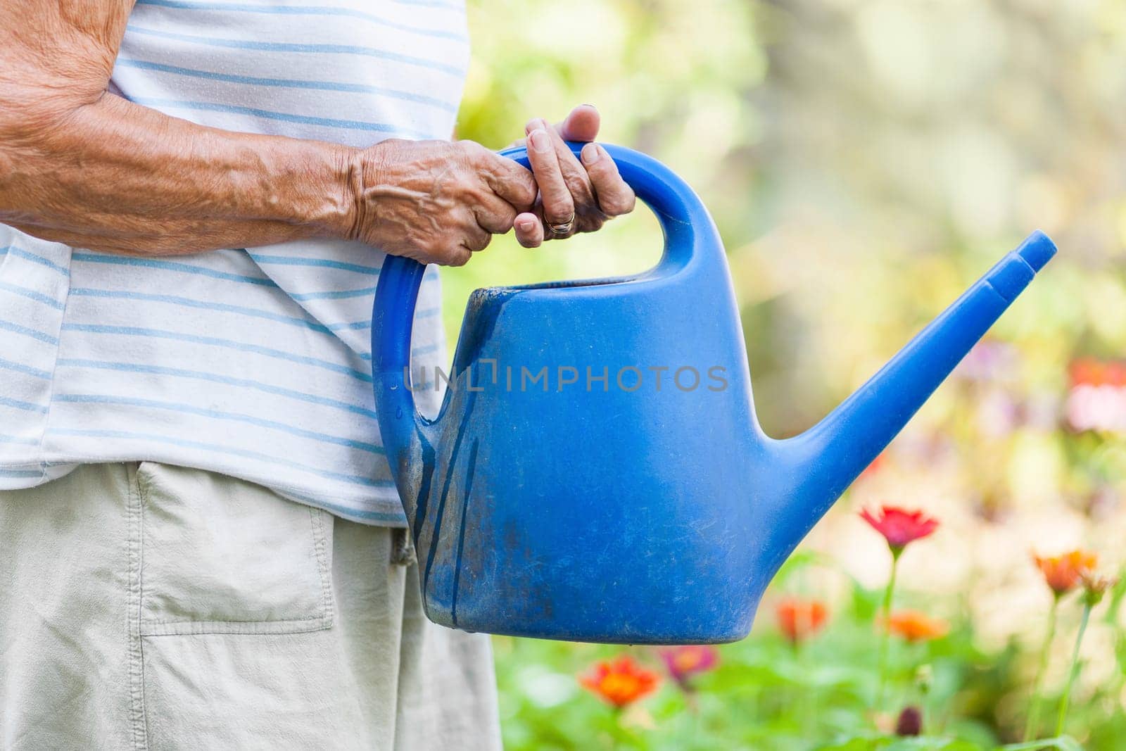 Elderly woman in her 80s watering plants in her garden