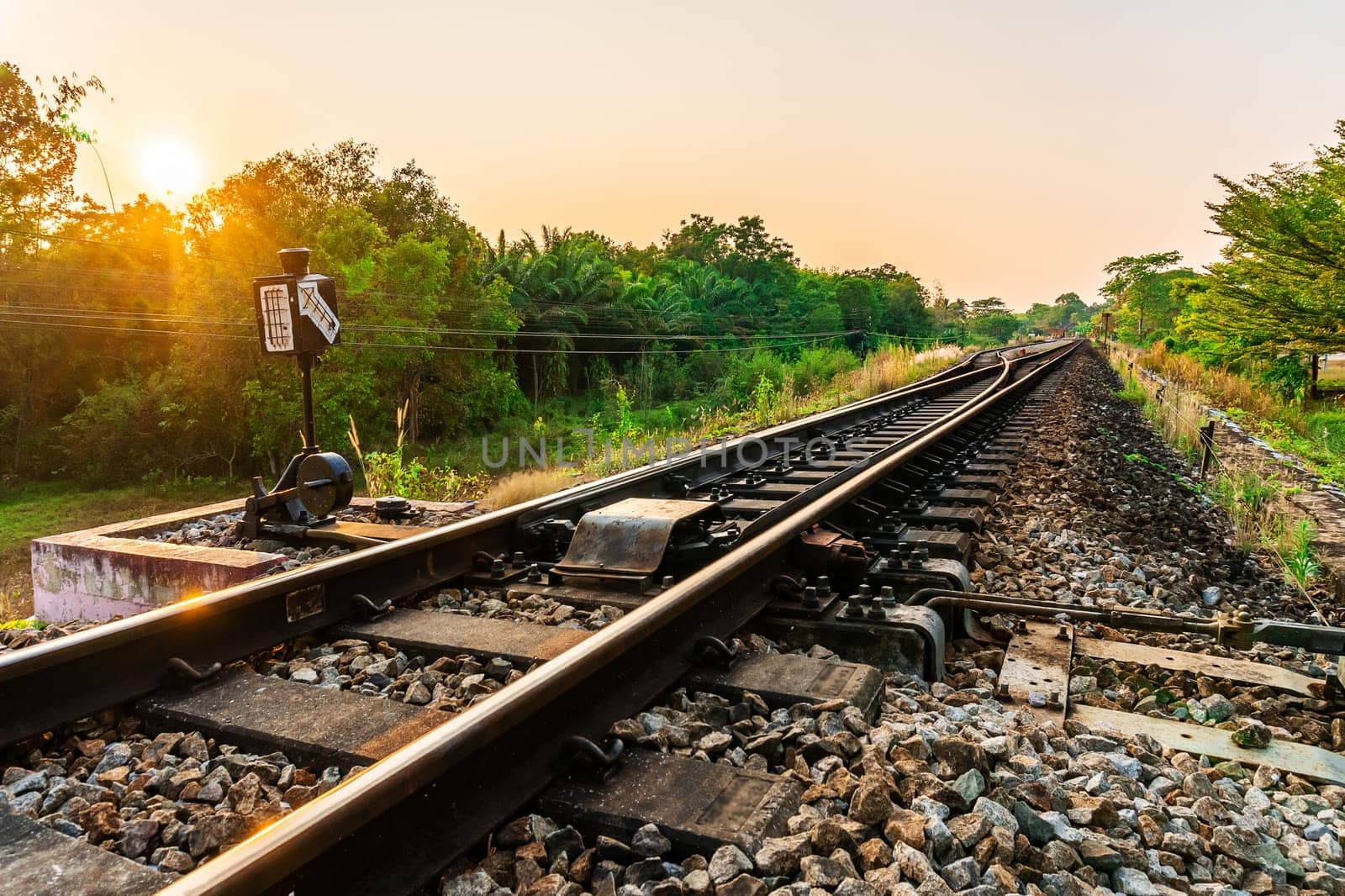 Railroad and railway train transportation with color of sky sunlight in forest background