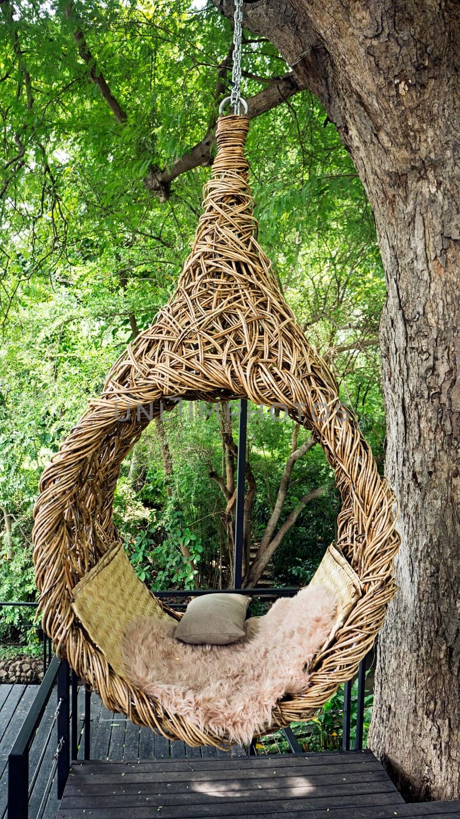 bird nest seat comfort hang relax swing nature