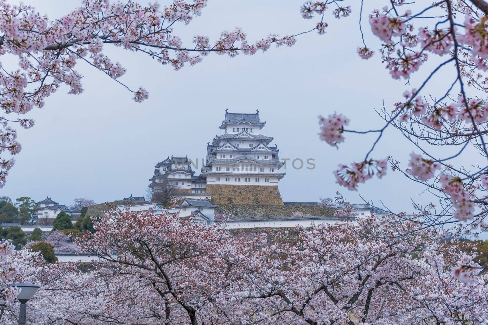 Himeji Castle known as White Heron Castle due to its elegant, white appearance. The castle is both a national treasure and a world heritage site. Unlike many other Japanese castles, it was never destroyed by war, earthquake or fire and survives to this day as one of the country's twelve original castles.