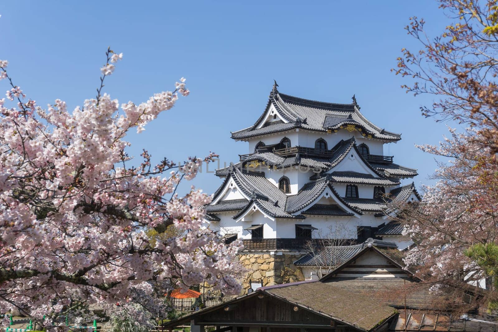 Hikone Castle was completed in 1622. It is an original castle, survived the post feudal era without undergoing destruction and reconstruction. Besides the castle's main keep, most of the inner moats, walls, guard houses and gates also remain intact.