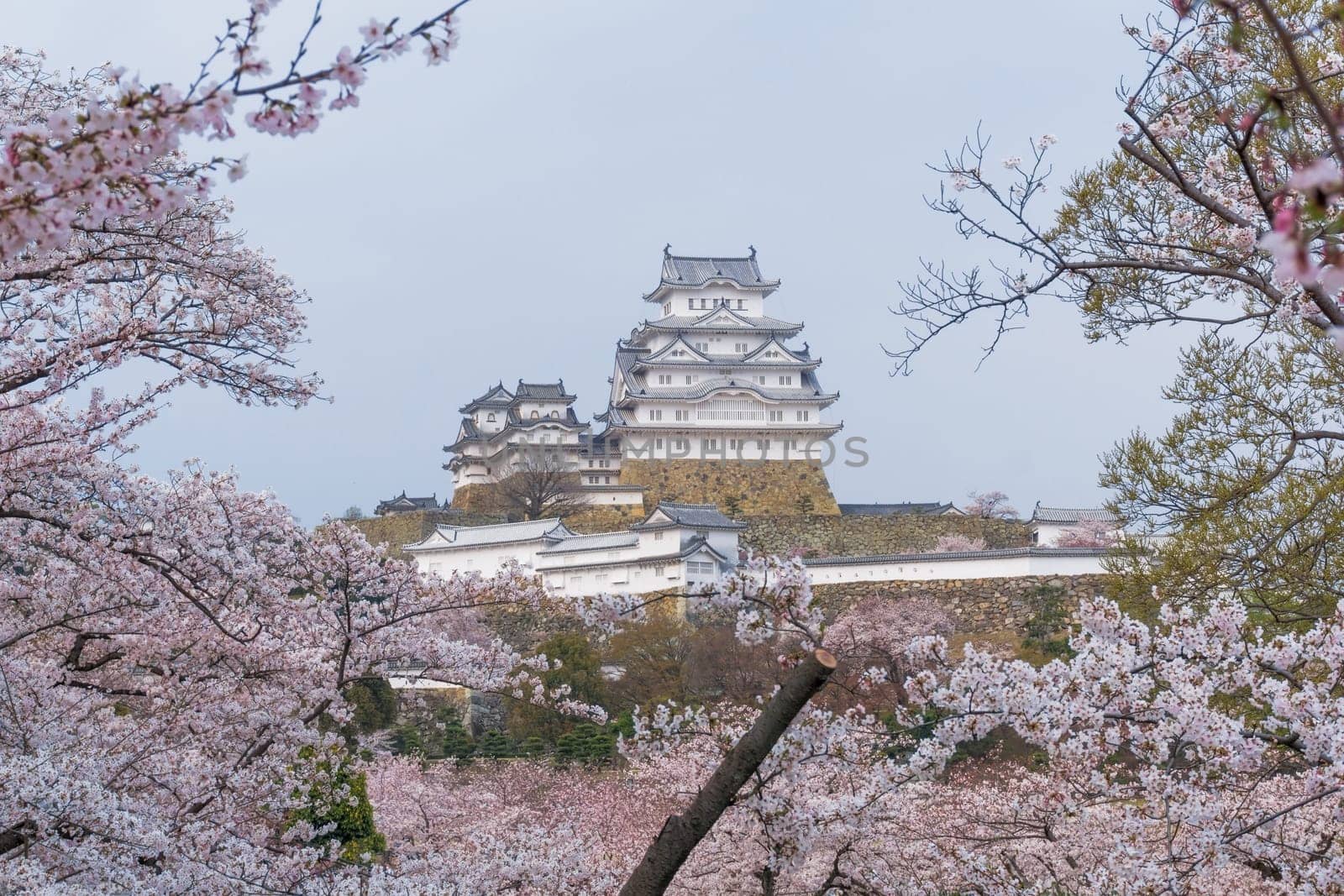 Himeji Castle known as White Heron Castle due to its elegant, white appearance. The castle is both a national treasure and a world heritage site. Unlike many other Japanese castles, it was never destroyed by war, earthquake or fire and survives to this day as one of the country's twelve original castles.