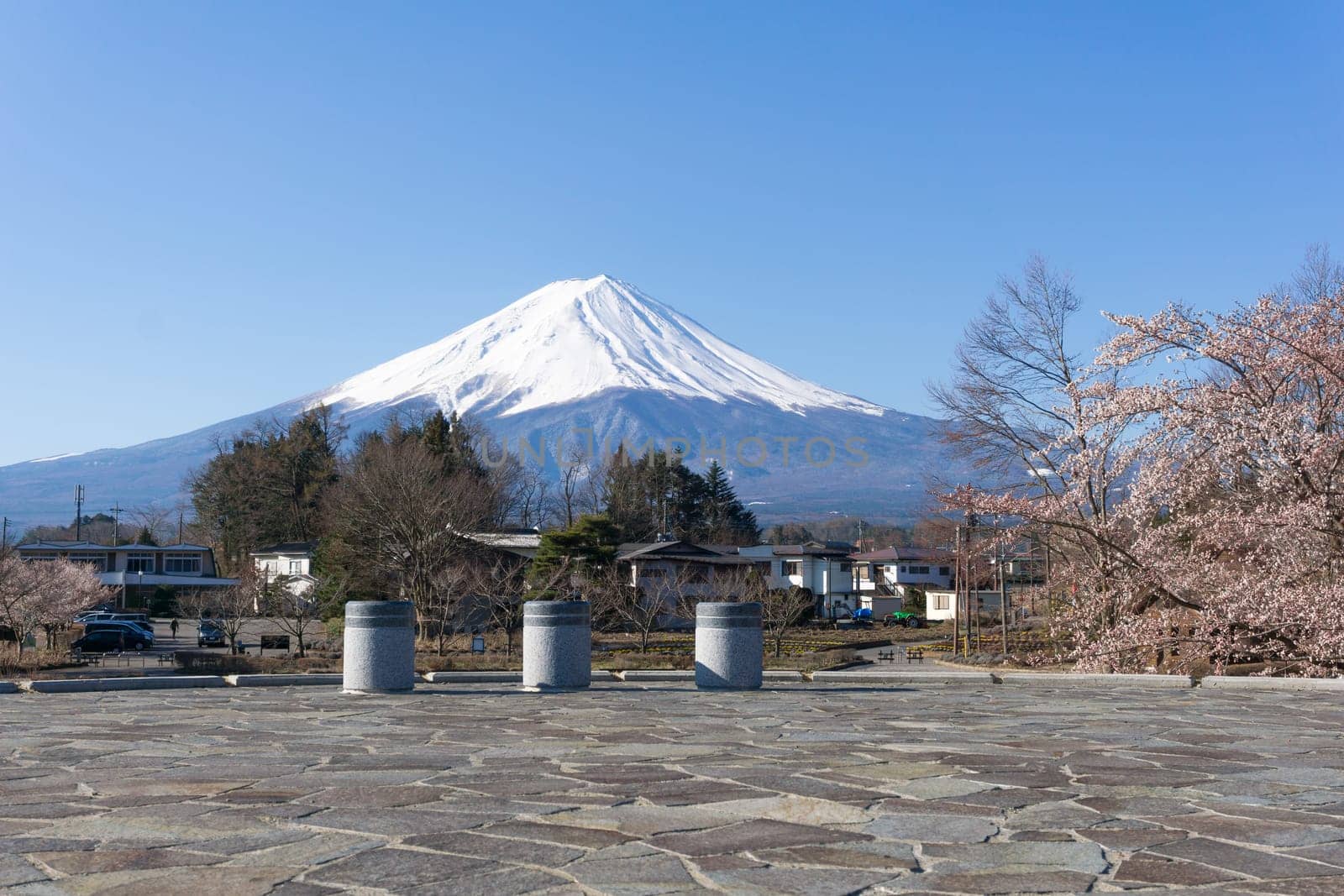 Northern Shores of Kawaguchiko where cherry trees are planted for 1.2km along the lake and Chureito Pagoda are the most scenic views can be captured cherry blossoms and Mt.Fuji.