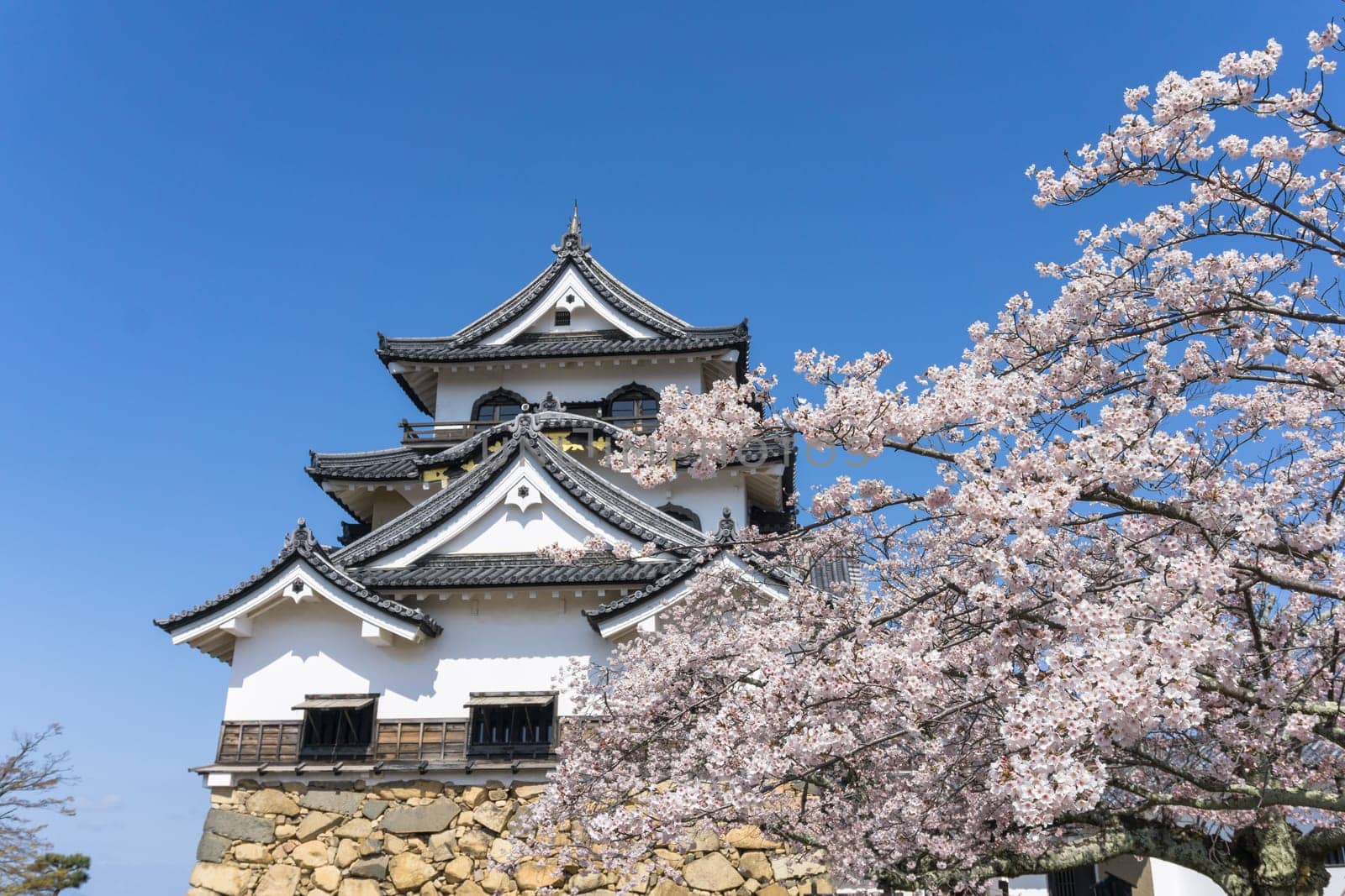 Hikone Castle was completed in 1622. It is an original castle, survived the post feudal era without undergoing destruction and reconstruction. Besides the castle's main keep, most of the inner moats, walls, guard houses and gates also remain intact.