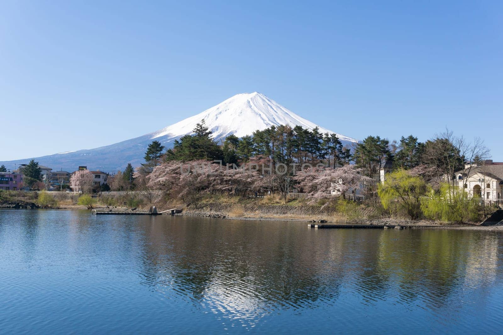 Northern Shores of Kawaguchiko where cherry trees are planted for 1.2km along the lake and Chureito Pagoda are the most scenic views can be captured cherry blossoms and Mt.Fuji.