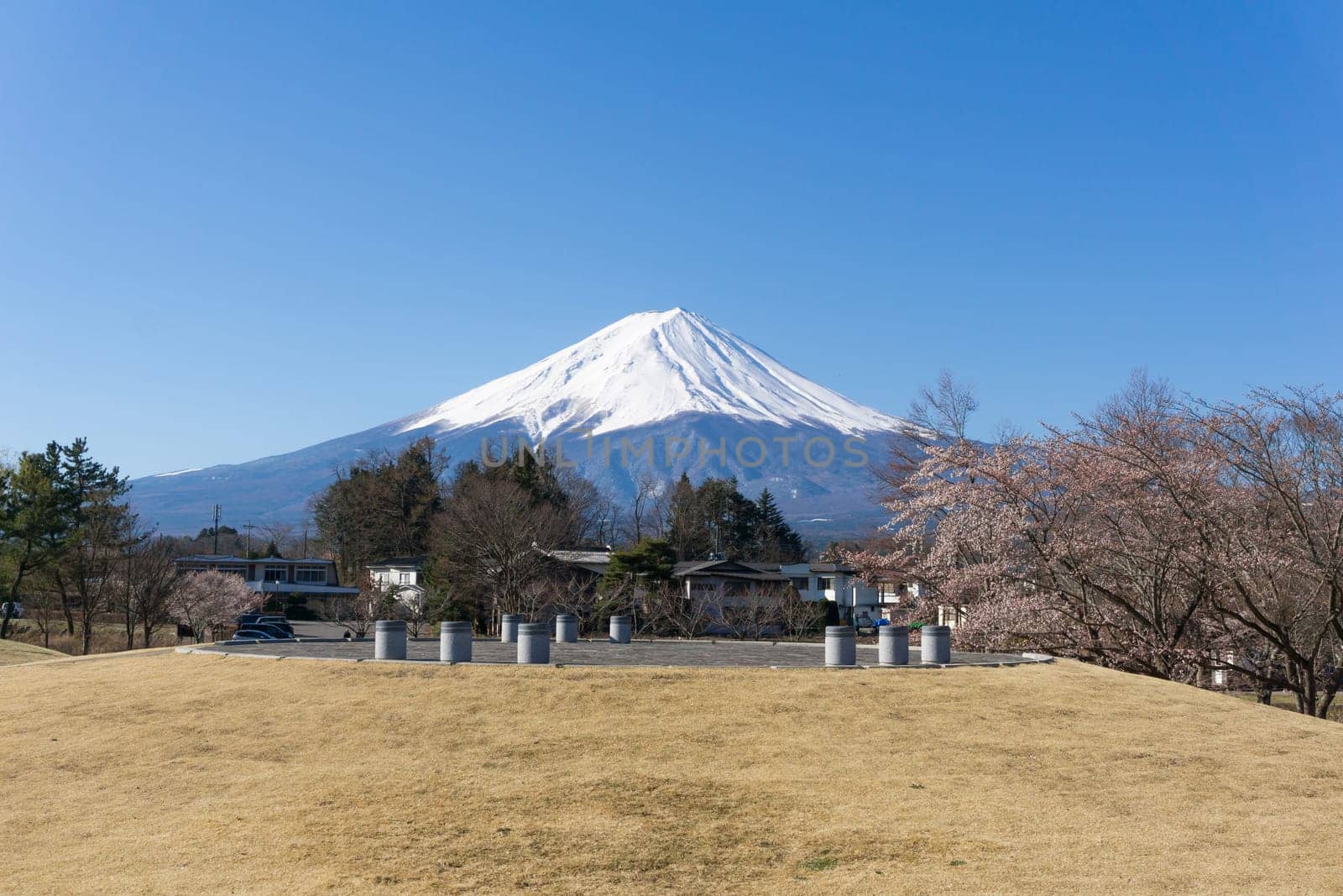 Northern Shores of Kawaguchiko where cherry trees are planted for 1.2km along the lake and Chureito Pagoda are the most scenic views can be captured cherry blossoms and Mt.Fuji.