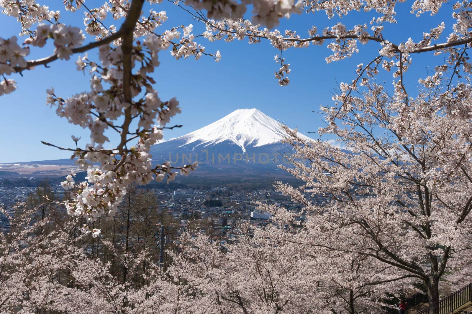 Northern Shores of Kawaguchiko where cherry trees are planted for 1.2km along the lake and Chureito Pagoda are the most scenic views can be captured cherry blossoms and Mt.Fuji.