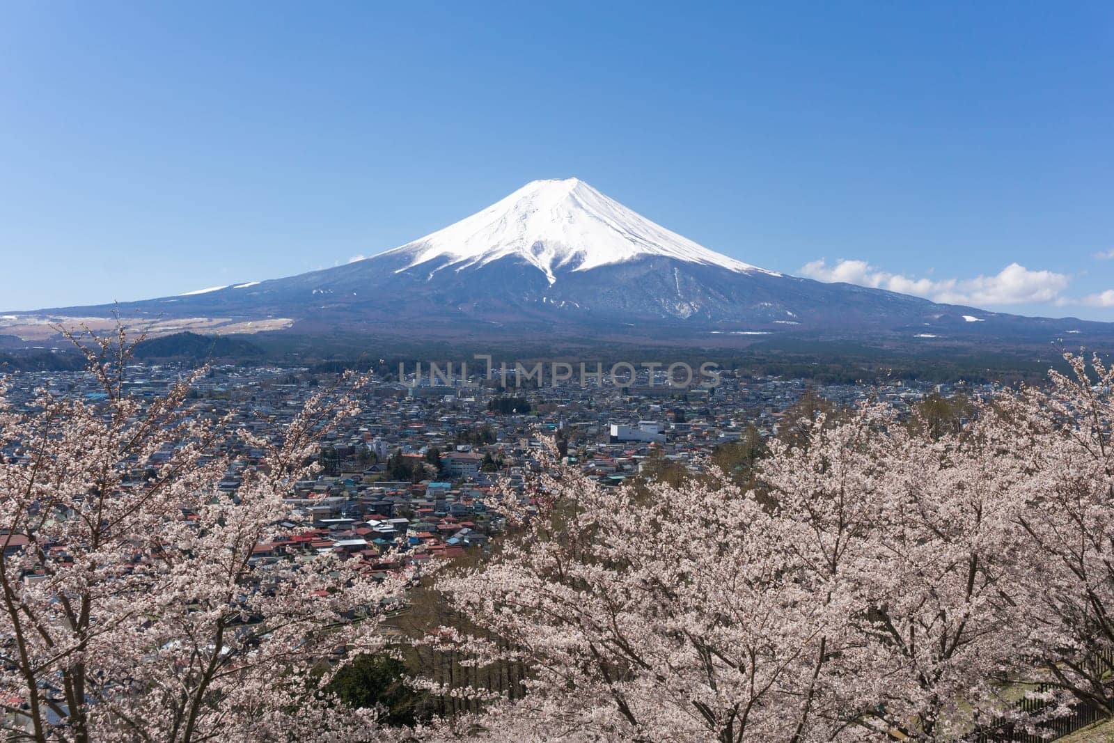 Northern Shores of Kawaguchiko where cherry trees are planted for 1.2km along the lake and Chureito Pagoda are the most scenic views can be captured cherry blossoms and Mt.Fuji.