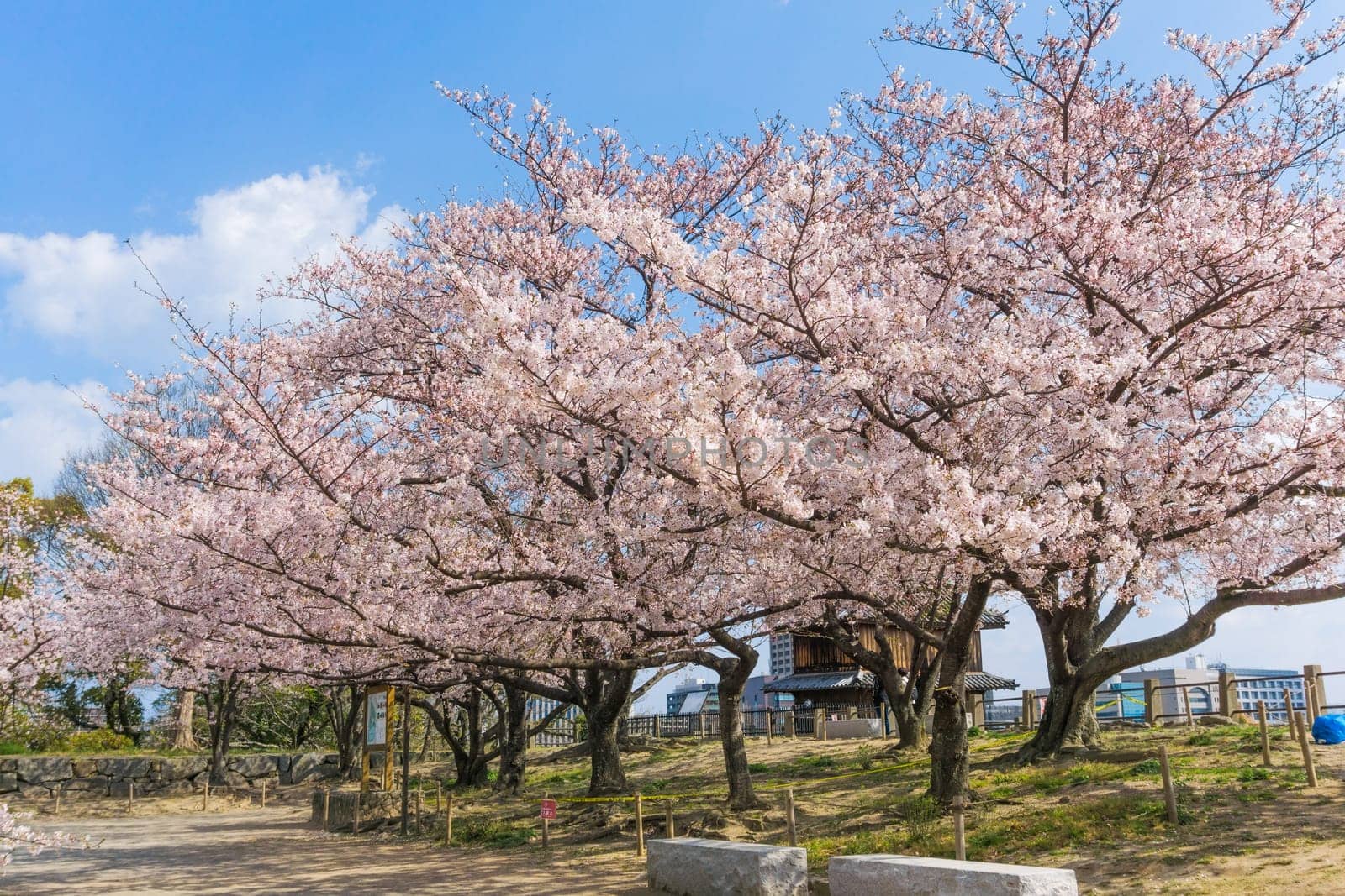 The ruins of Fukuoka Castle are located in the middle of the city in Maizuru Park. It was built in the beginning of the 17th century and used to be the largest castle on Kyushu.