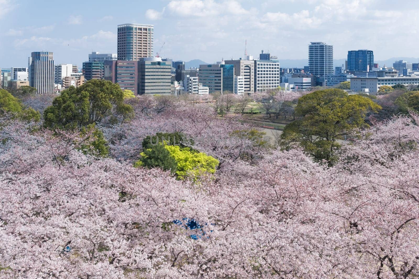 The ruins of Fukuoka Castle are located in the middle of the city in Maizuru Park. It was built in the beginning of the 17th century and used to be the largest castle on Kyushu.