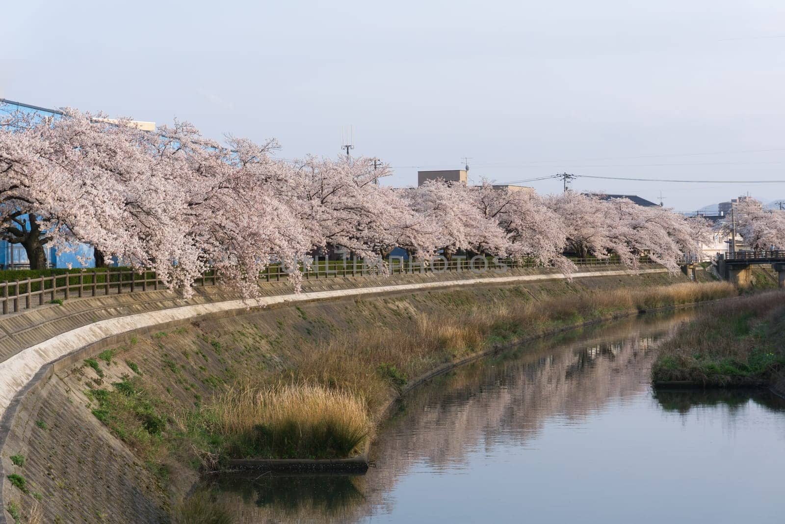 Tottori City is located in western Japan along the coast of the Sea of Japan. Tottori is most famous for its sand dunes, ruins of the former castle and sakura tunnel along Fukura river.