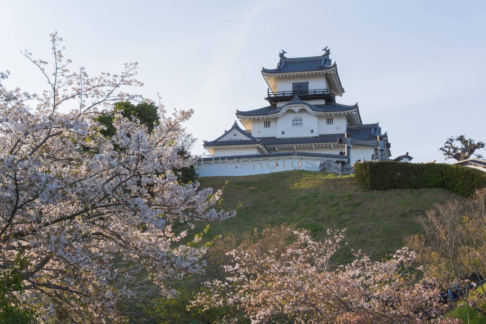 Kakegawa Castle is in Kakegawa City, Shizuoka Prefecture.It is located on a small hill, a 15-minute walk north of JR Kakegawa Station. It was first built by Asahina Yasuhiro in 1513.