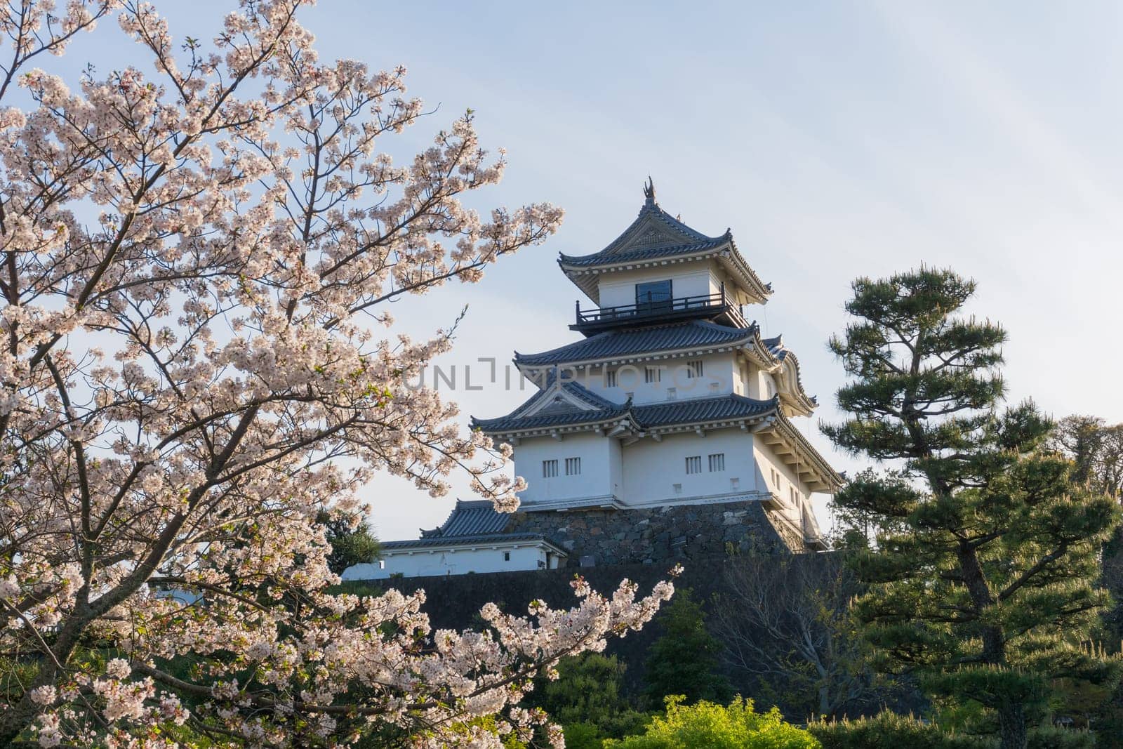Kakegawa Castle is in Kakegawa City, Shizuoka Prefecture.It is located on a small hill, a 15-minute walk north of JR Kakegawa Station. It was first built by Asahina Yasuhiro in 1513.