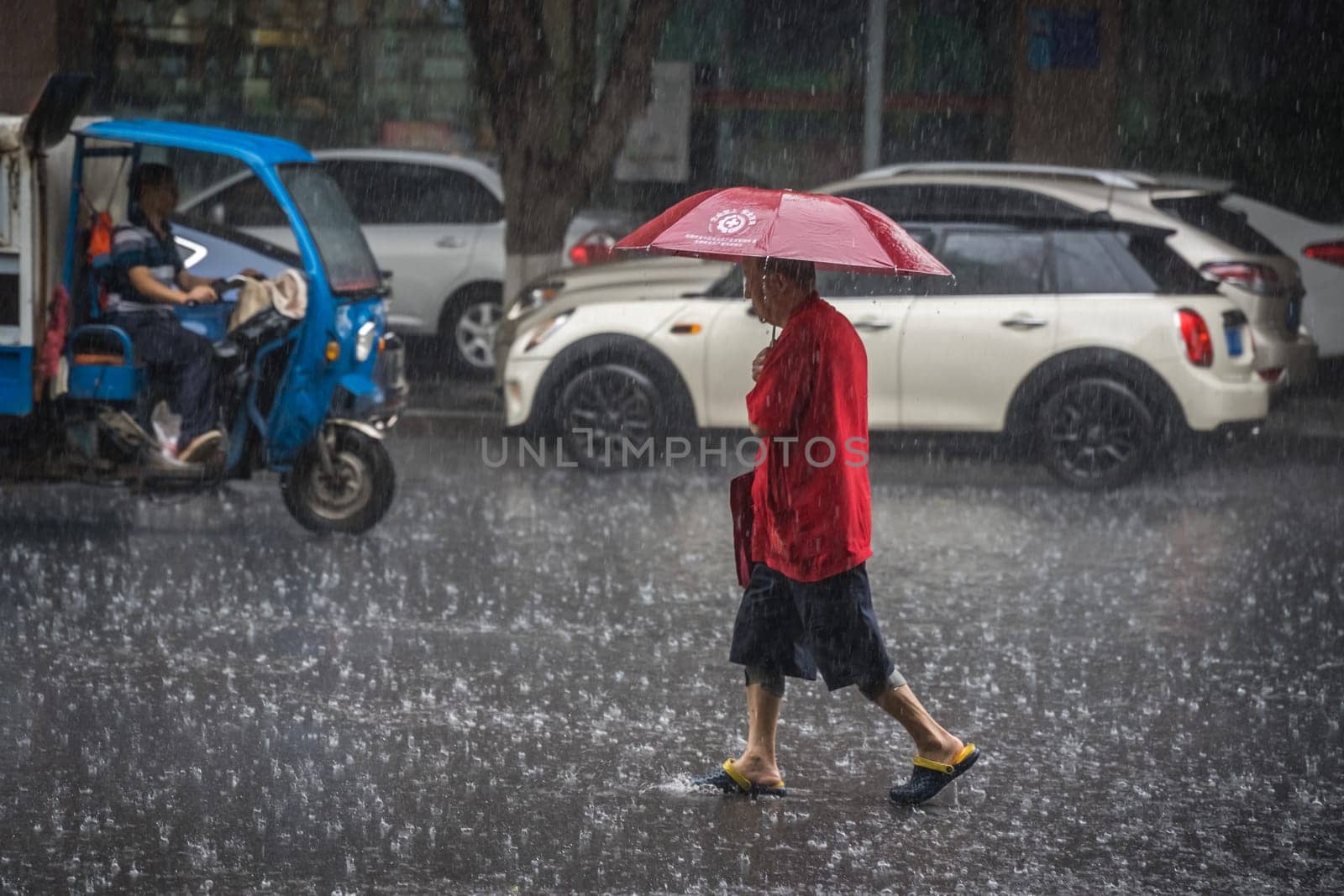 Chengdu, China - July  2019 : Chinese man with red umbrella crossingthe road during tropical monsoon rain in Chengdu, Sichuan province