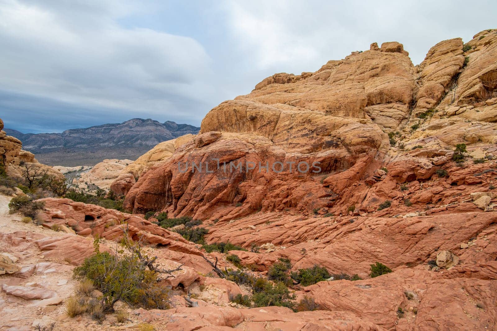 The Red Rock Canyon National Conservation Area near Las Vegas, Nevada