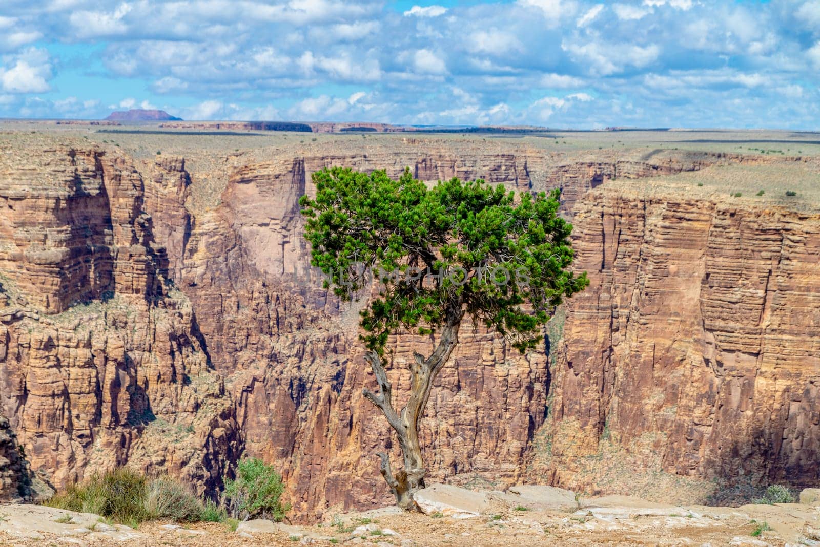 View of Arizona's Little Colorado River Gorge, USA