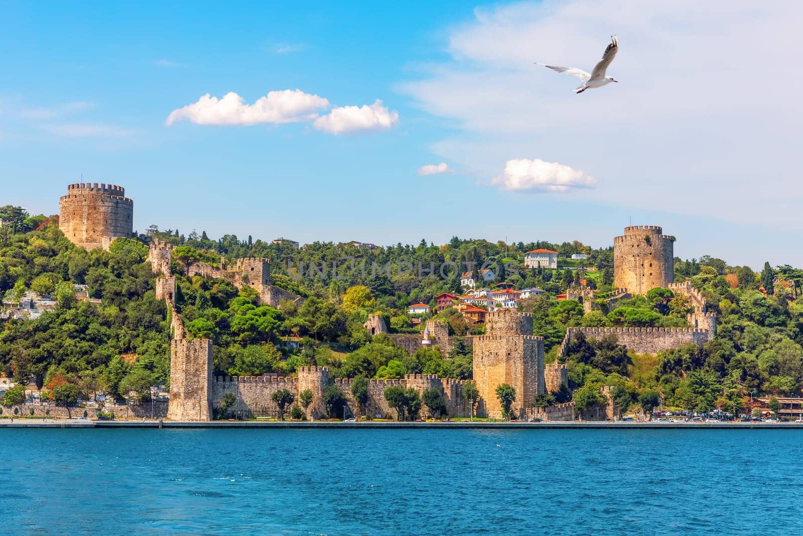 Roumeli Hissar Castle on the bank of the Bosphorus, Istanbul, Turkey.