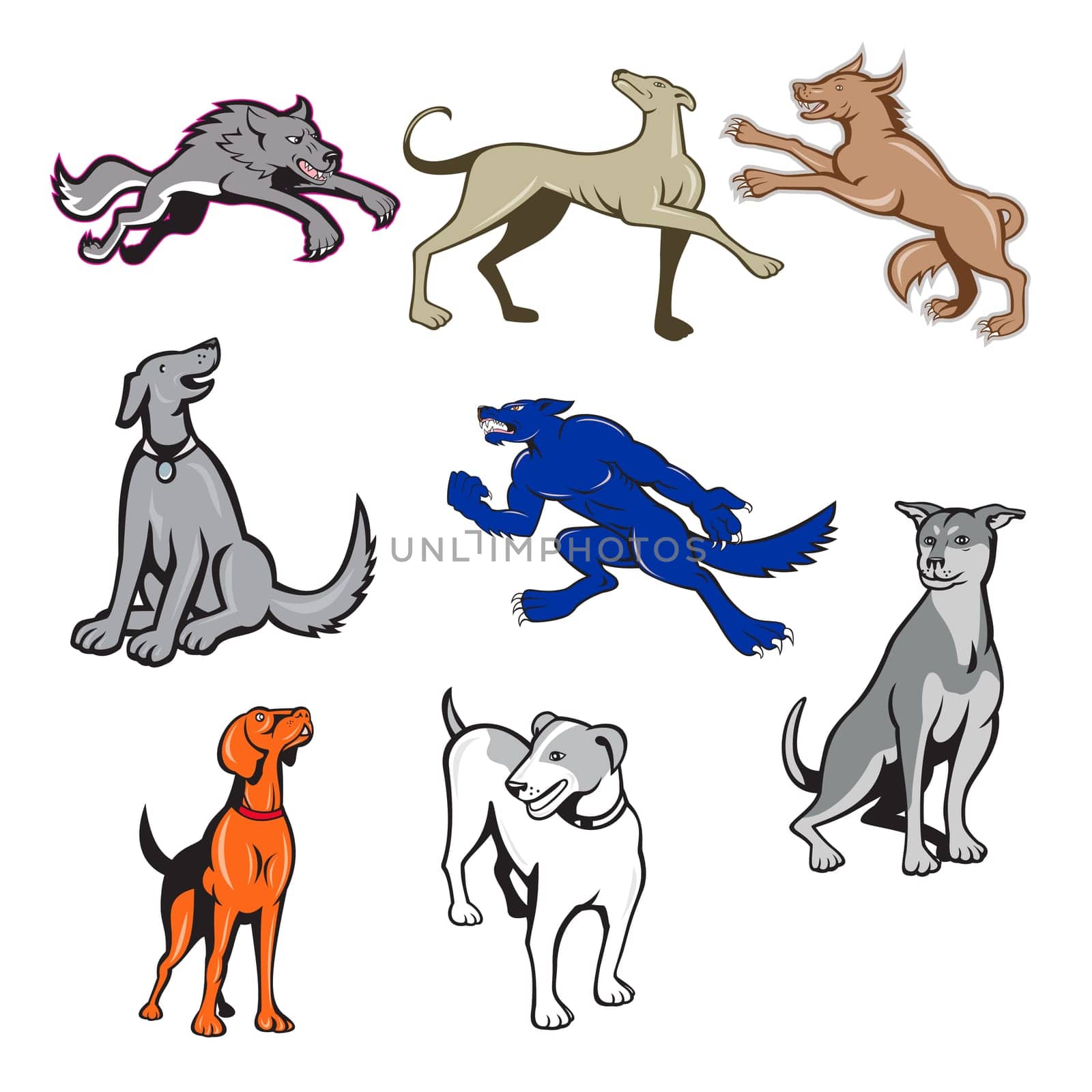 Set or collection of cartoon character mascot style illustration of canine pet dog such as great dane, jack russell terrier,wolf, husky and golden retriever dog on isolated white background.