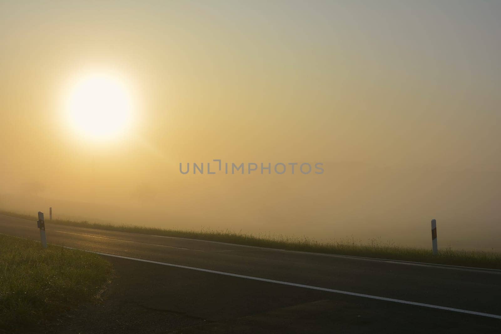 Road in fog at sunrise, with sun on the left side,  in the countryside with copy space