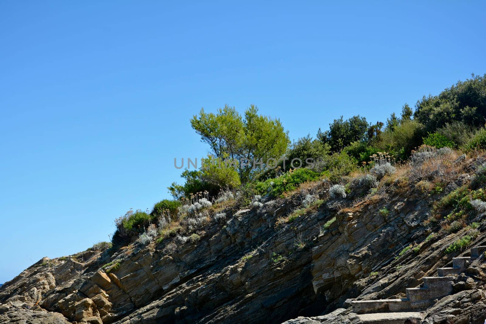 Rocks and vegetation on the coast of southern France, Côte d'Azur, with blue sky and copy space