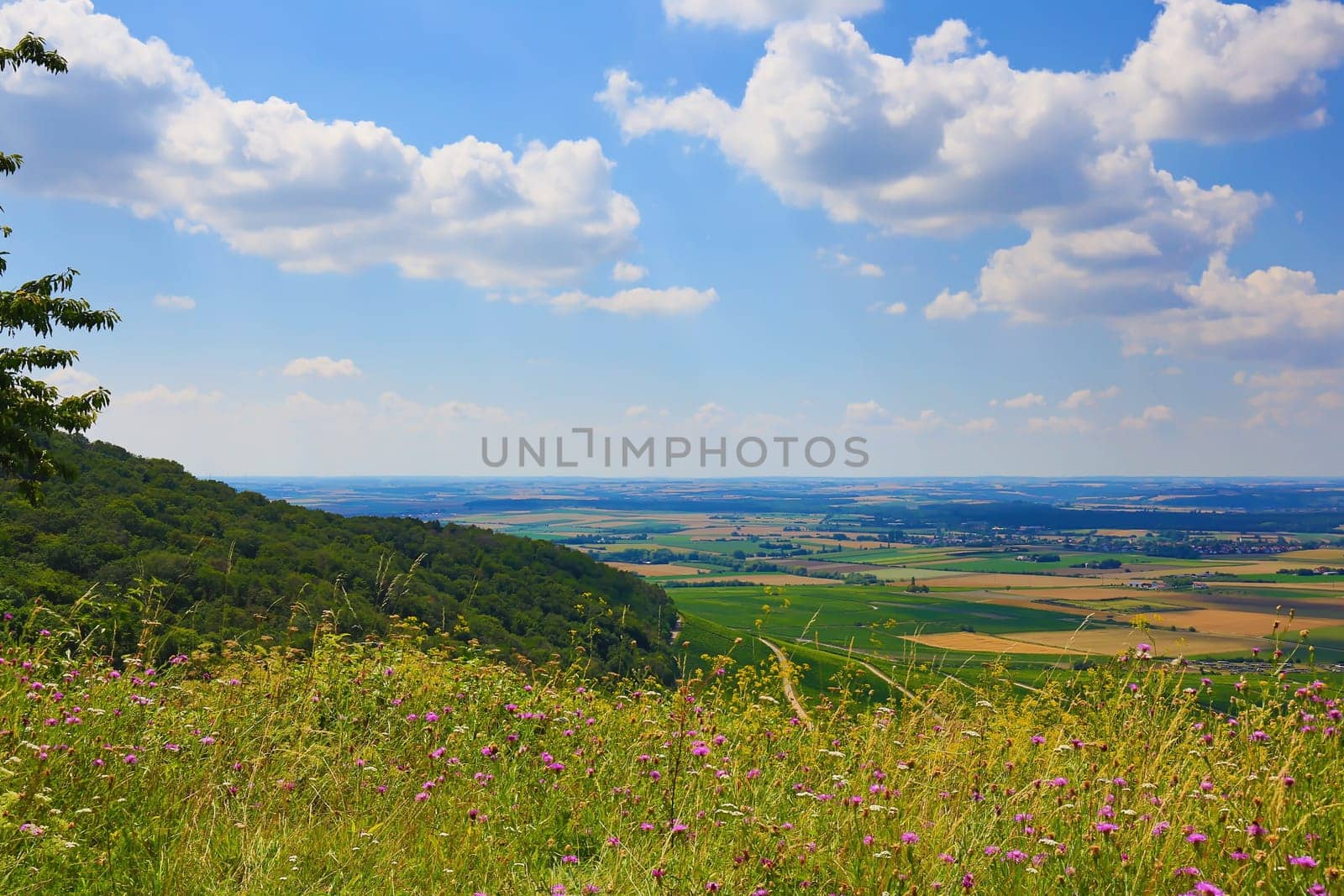 Landscape at Iphofen in Bavaria