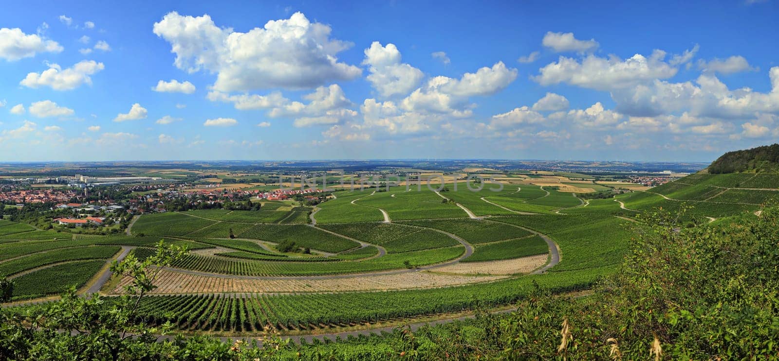 Landscape at Iphofen in Bavaria
