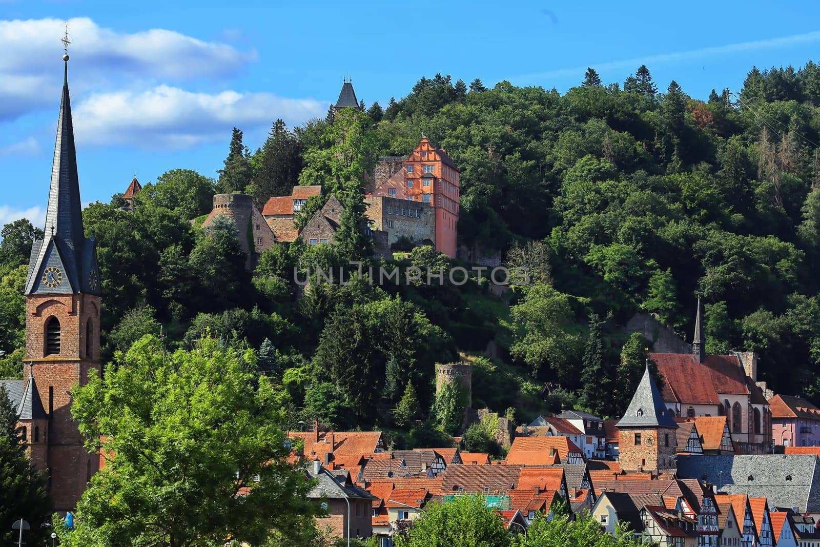 The Hirschhorn Castle on the Neckar