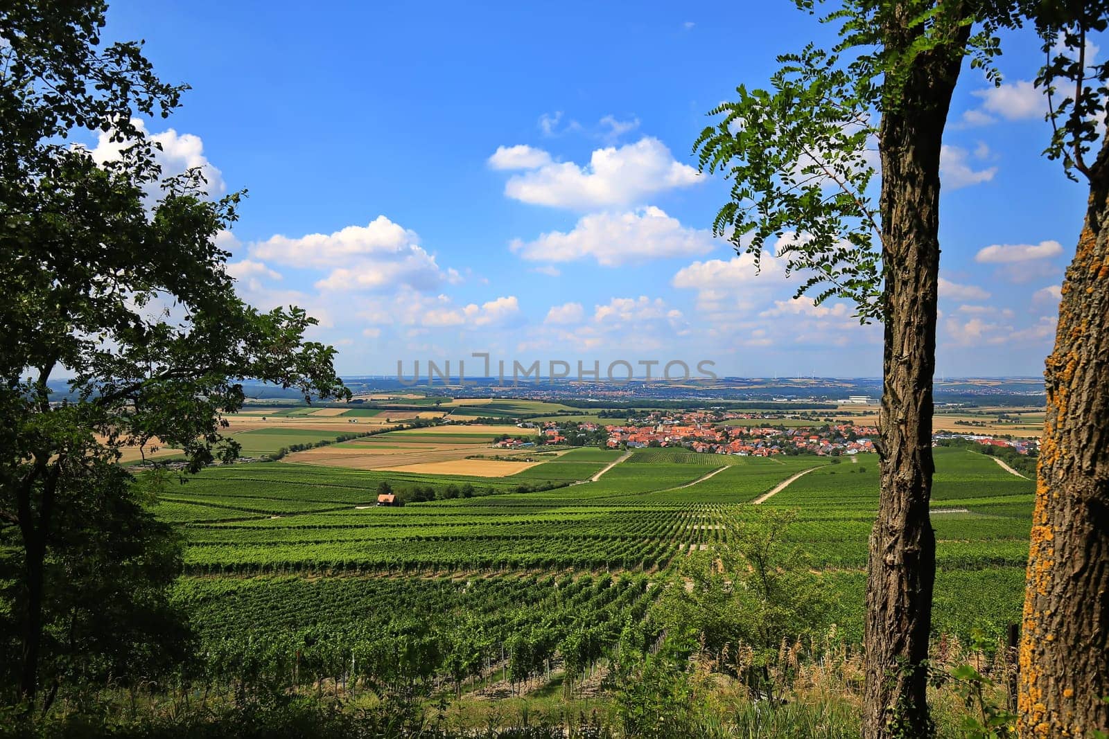 Landscape at Iphofen in Bavaria