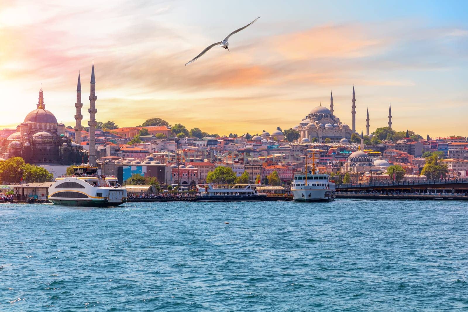 The Suleymaniye Mosque and the Rustem Pasha Mosque, view from the Bosphorus, Istanbul, Turkey.