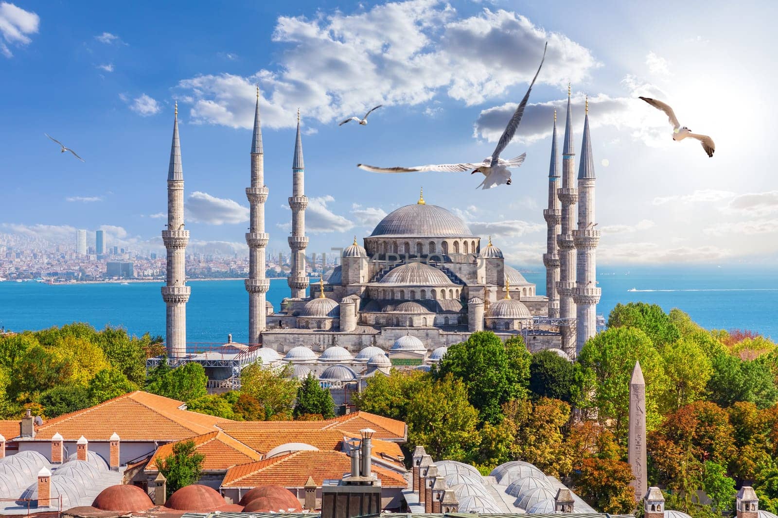 Famous Sultan Ahmet Mosque in Istanbul, Turkey.