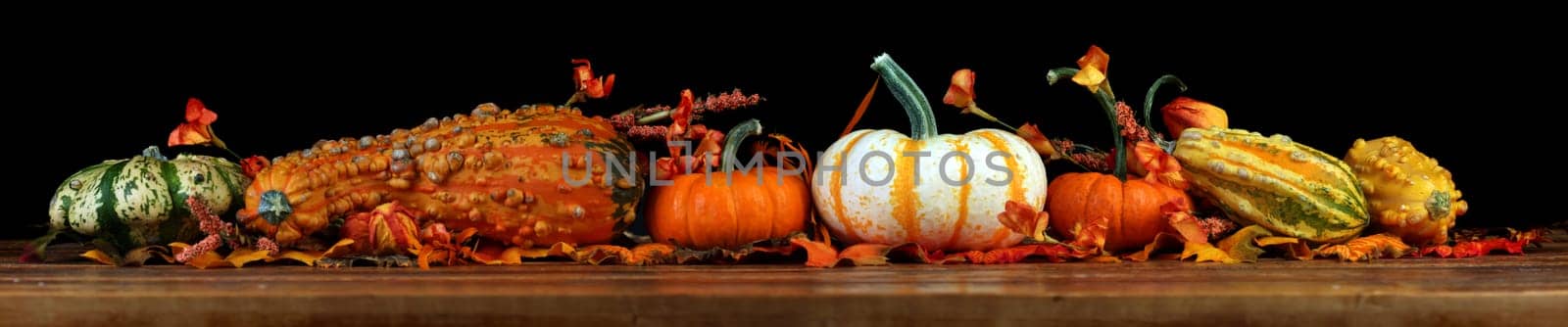 Autumn pumpkins background