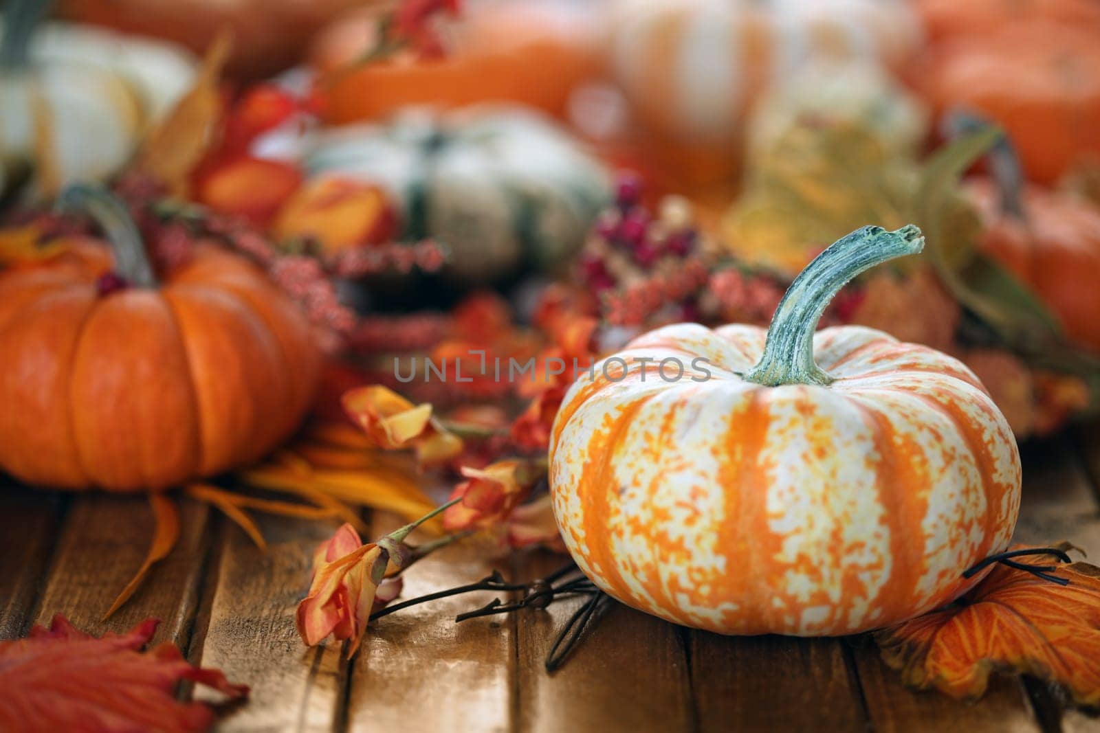 Autumn pumpkins background