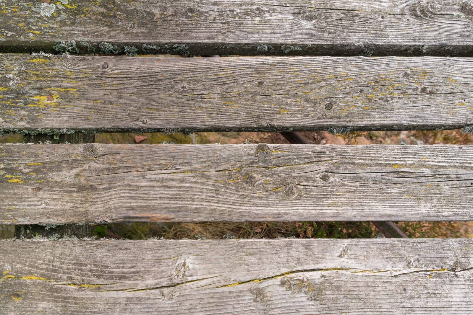 Old rotten wooden boards overgrown with moss as background