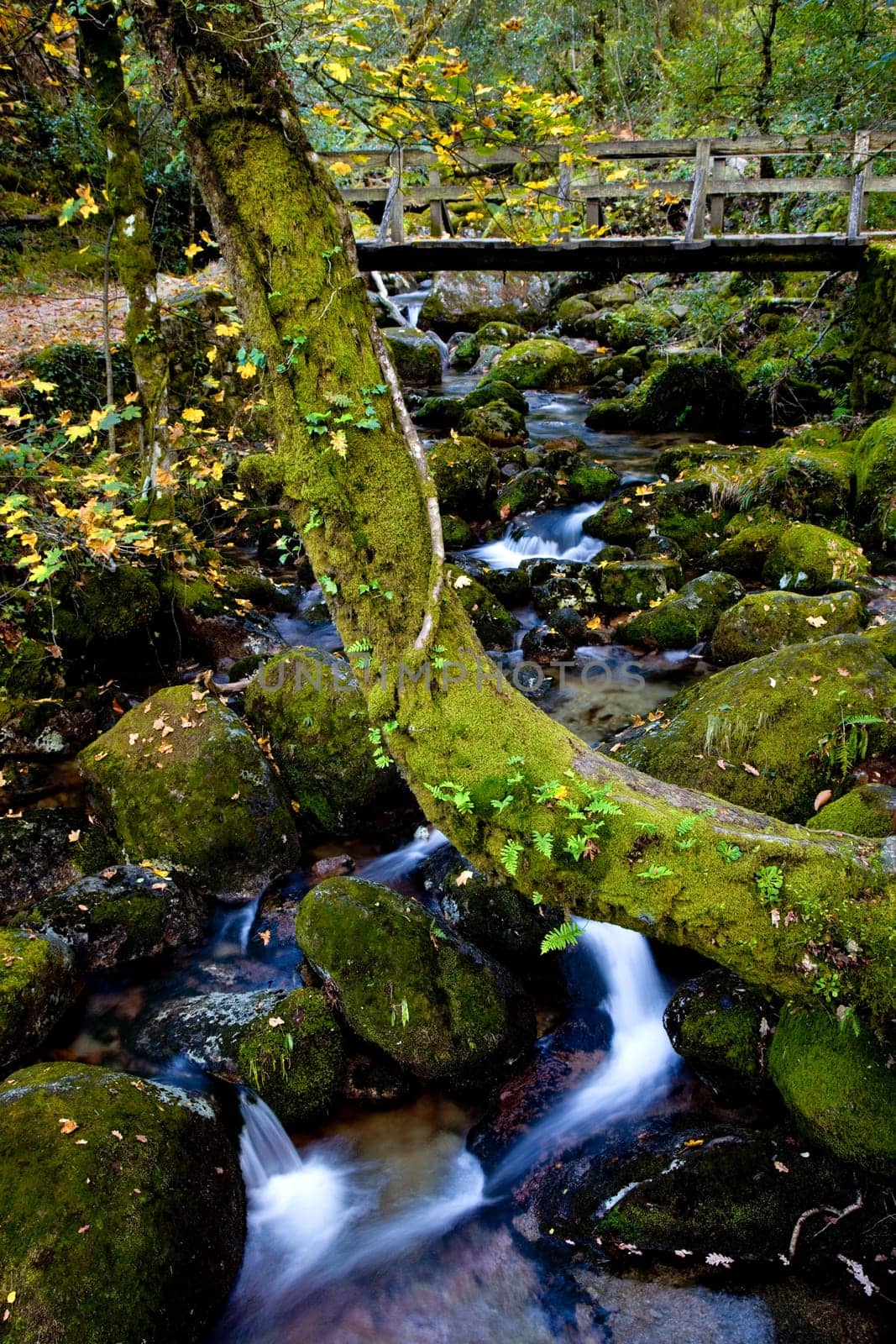 river waterfall in the portuguese national park of Geres, in the north of the country