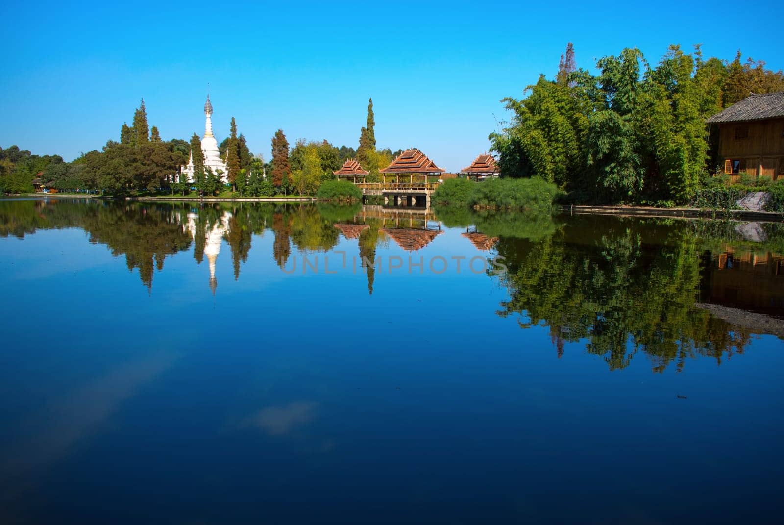 The reflection of forest, pagoda and house