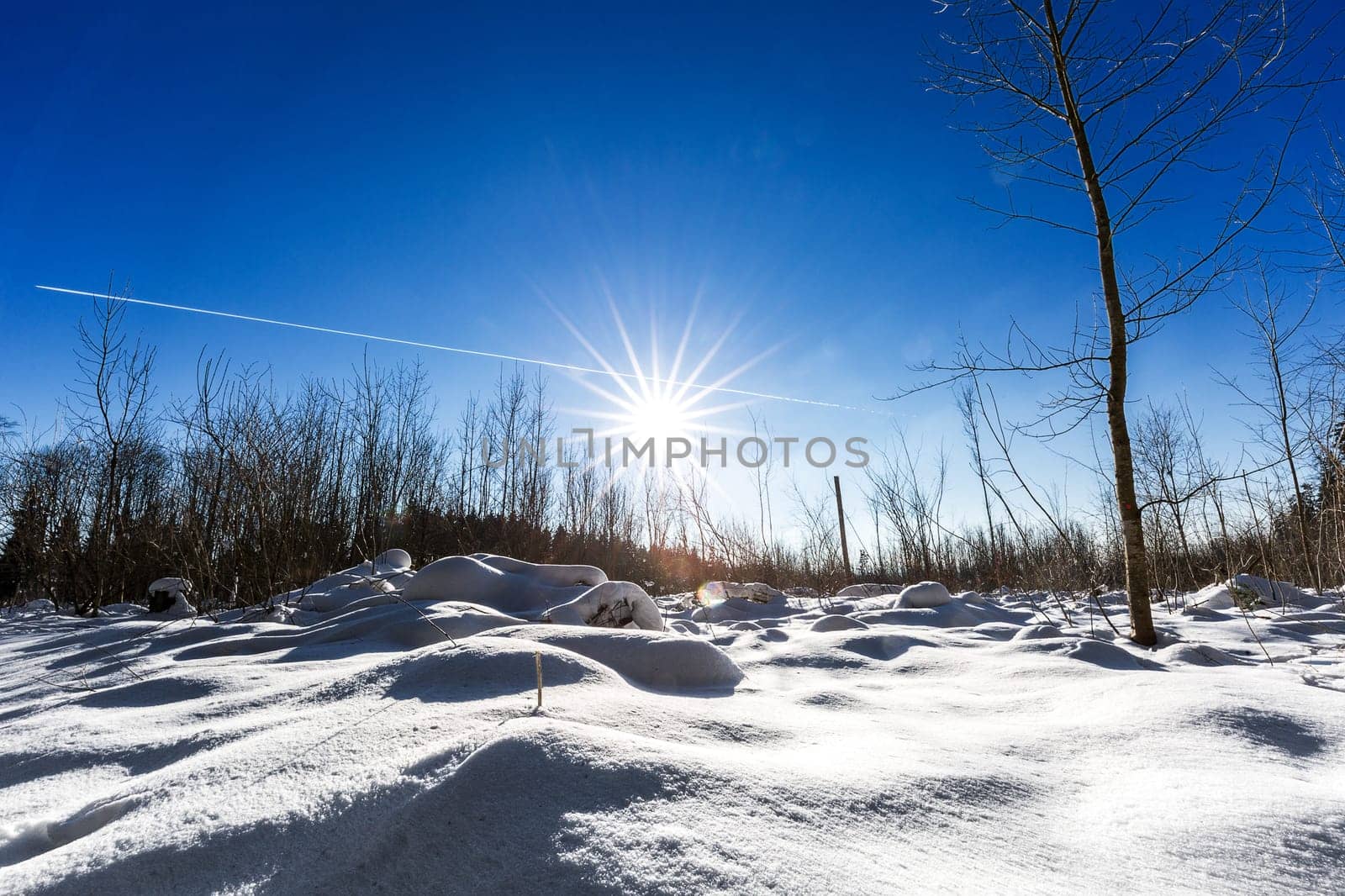 Bright sunshine and blue skies on a cold day in the snowy Black Forest.