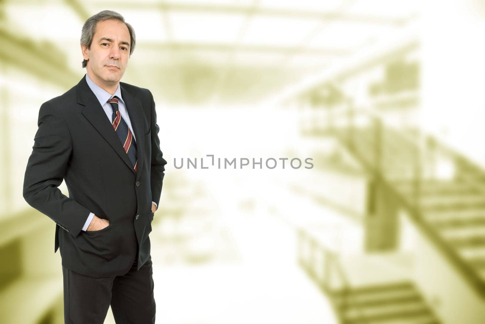 mature business man portrait in a office building