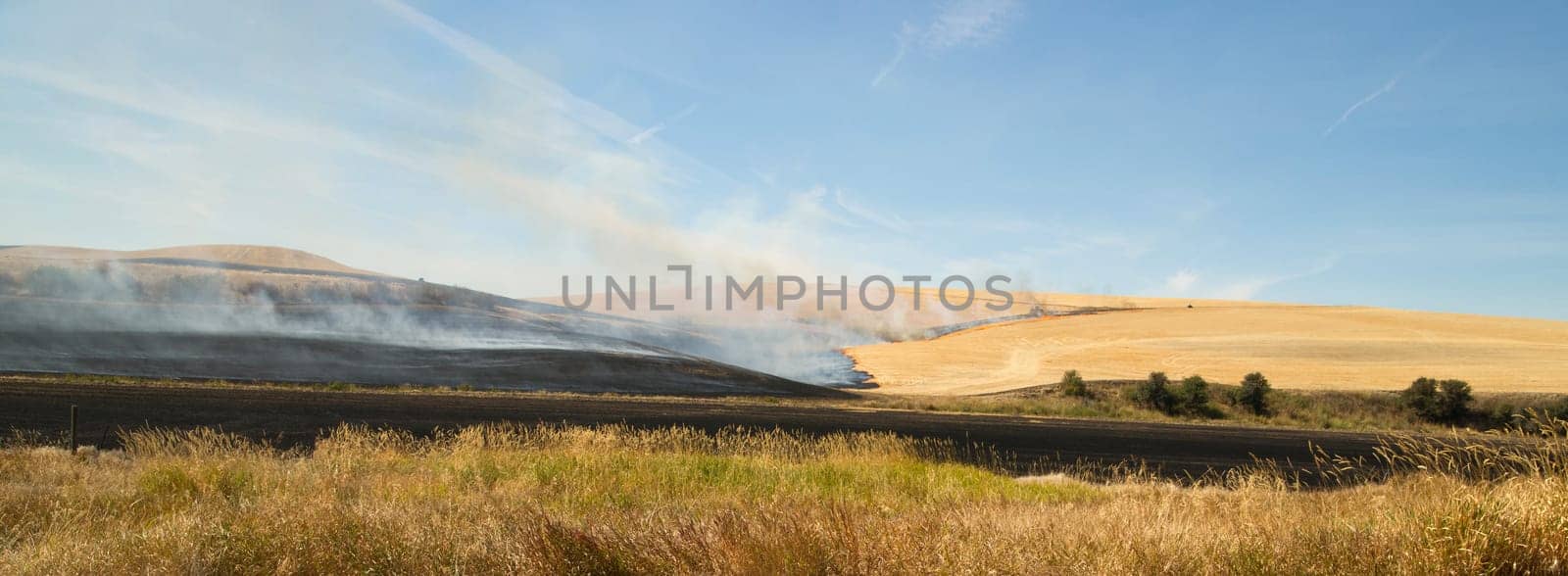 Farmers do a controlled burn before plowing after harvest