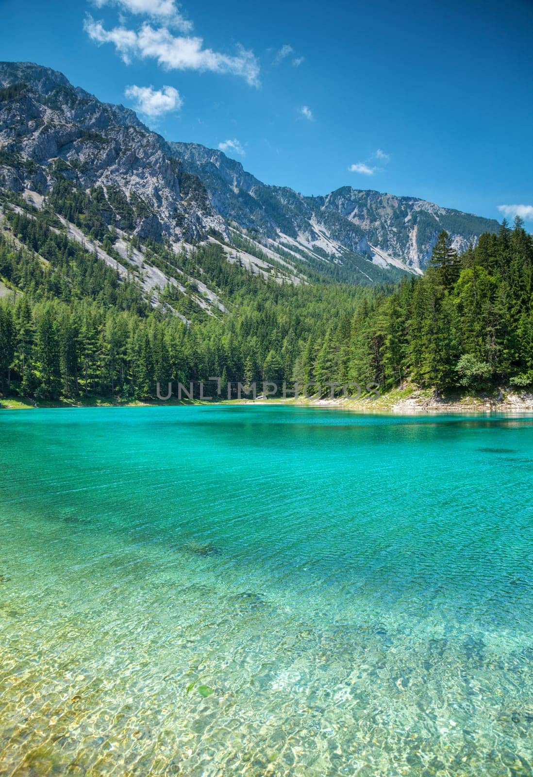 Grüner see with crystal clear water in Austrian Alps