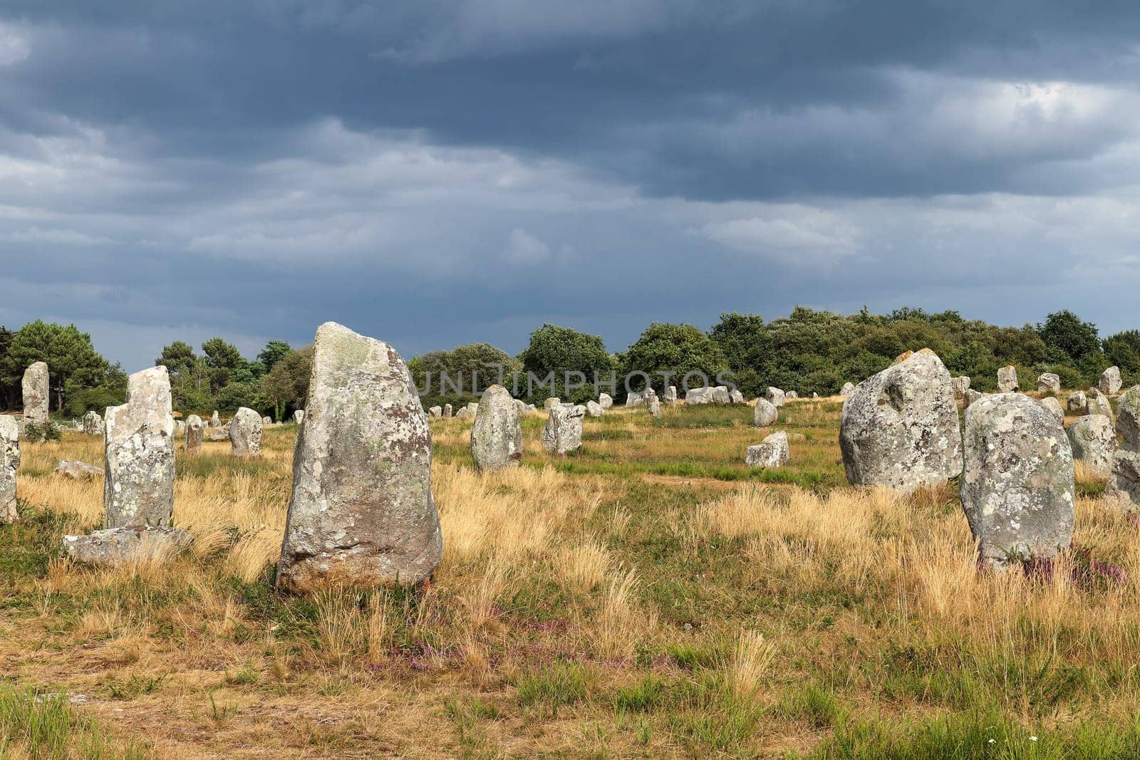 Alignements du Menec - rows of Menhirs - standing stones - the largest megalithic site in the world, Carnac, Brittany, France.